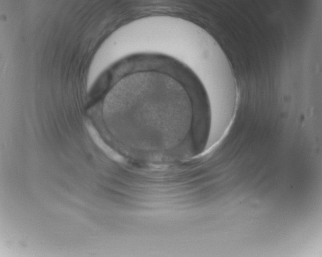 X0000051890190200507081948