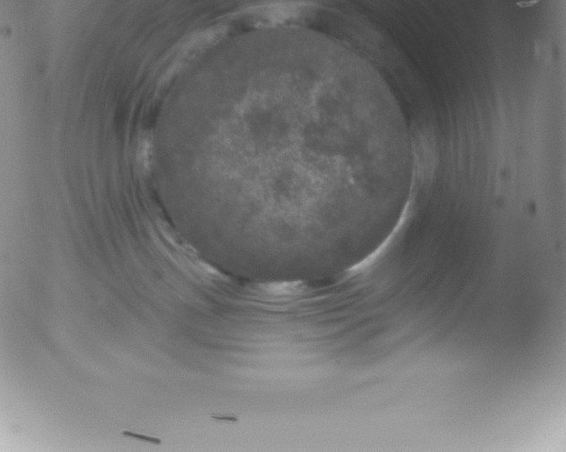 X0000051890191200507081948