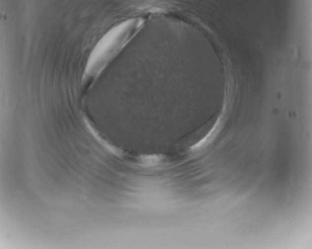 X0000051890192200507081948