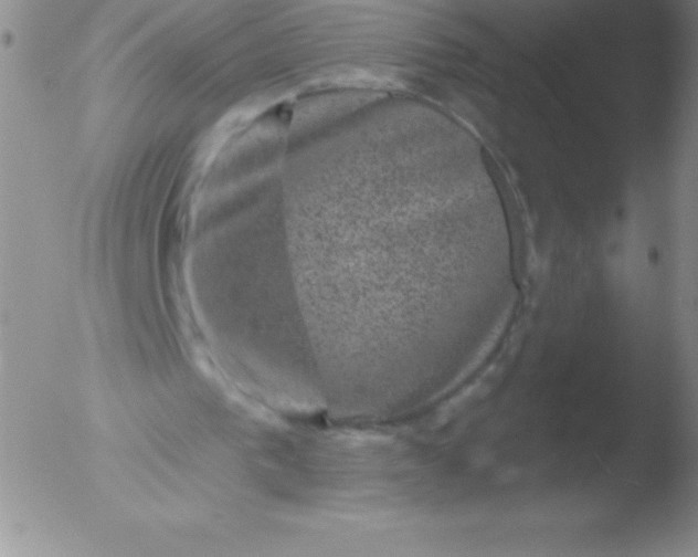 X0000051890193200507081947