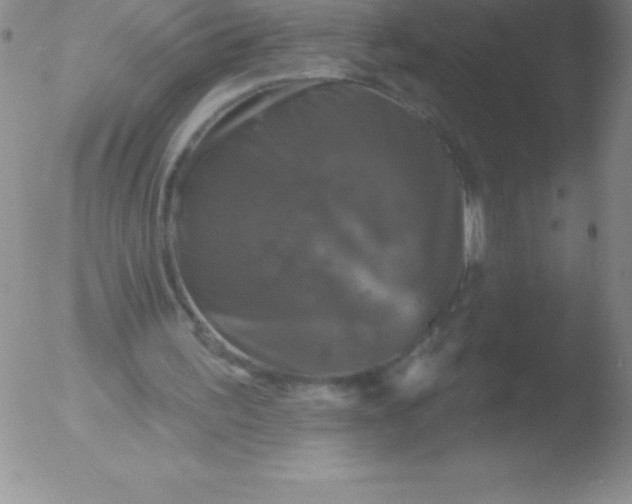 X0000051890195200507081947