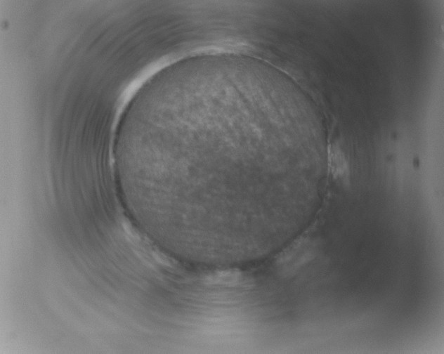 X0000051890196200507081947