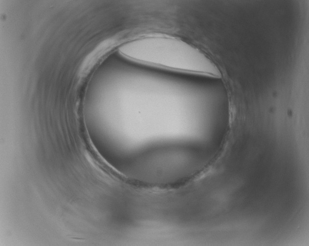 X0000051890197200507081947