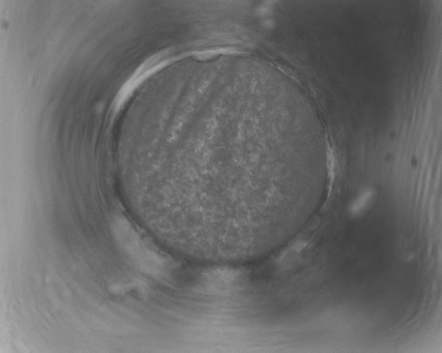 X0000051890198200507081947