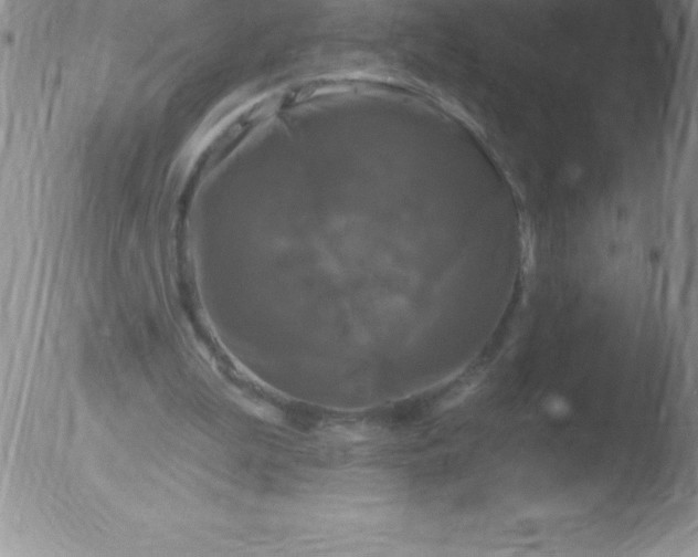 X0000051890199200507081947