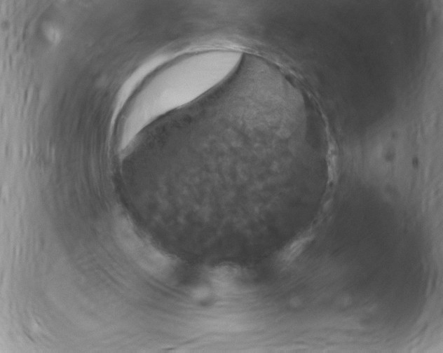 X0000051890200200507081947