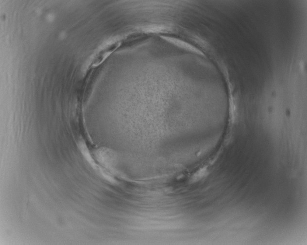 X0000051890201200507081947