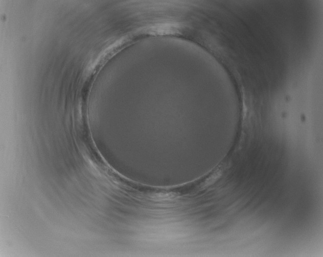 X0000051890202200507081947