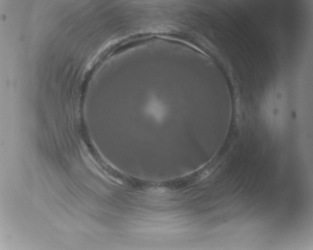 X0000051890203200507081947