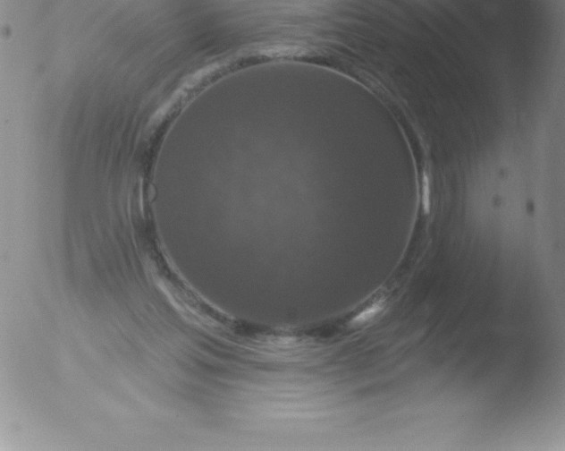 X0000051890205200507081947