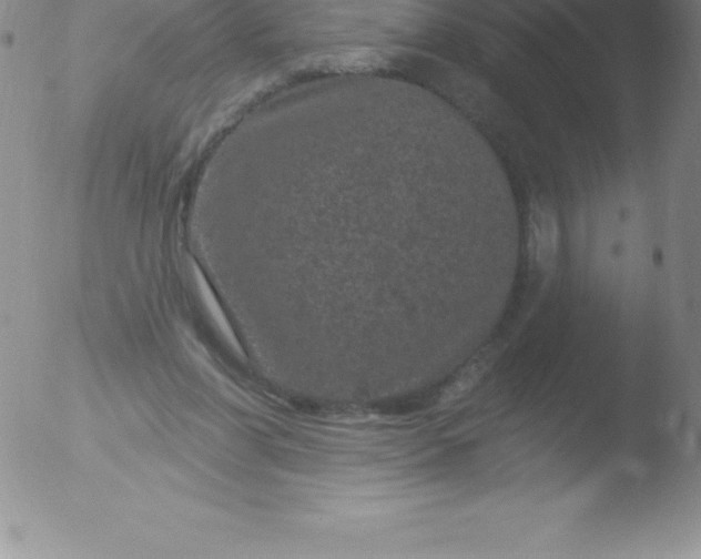 X0000051890206200507081947