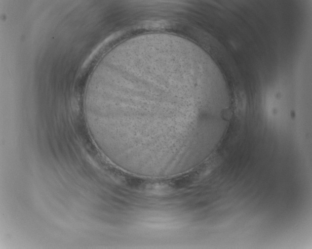 X0000051890208200507081947