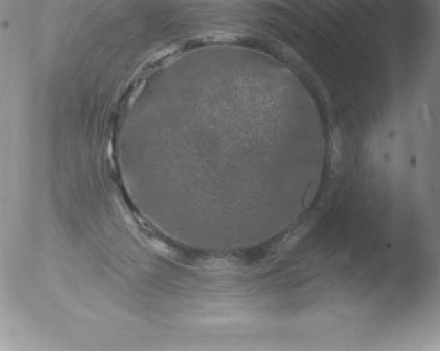 X0000051890209200507081947