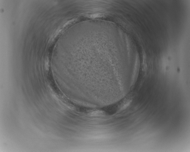 X0000051890210200507081947