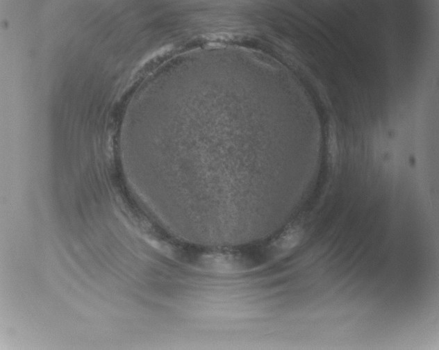 X0000051890211200507081947