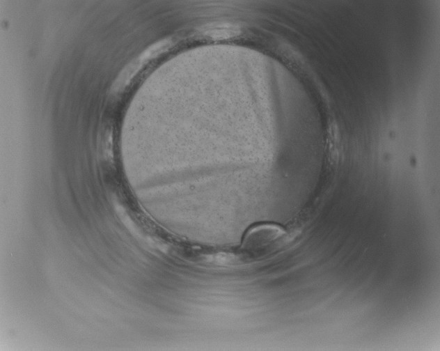 X0000051890212200507081947