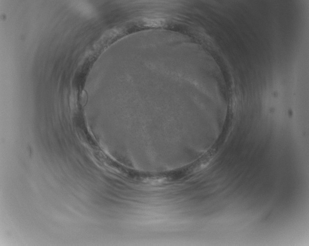 X0000051890213200507081947