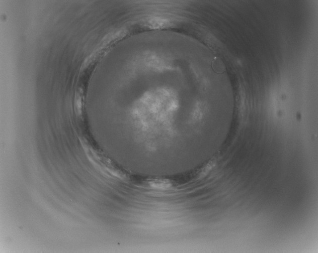 X0000051890214200507081947