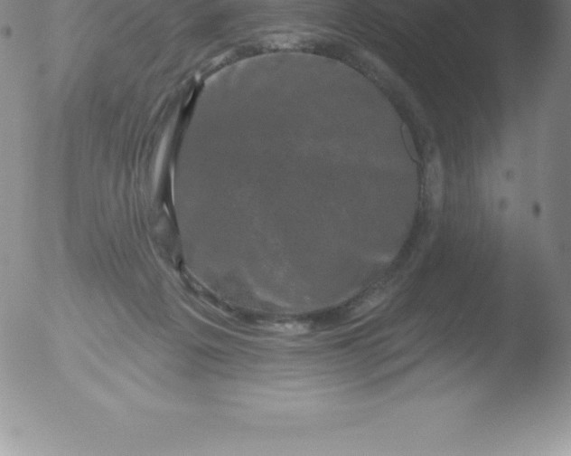 X0000051890217200507081947