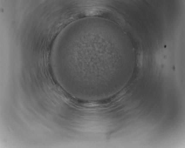 X0000051890219200507081947