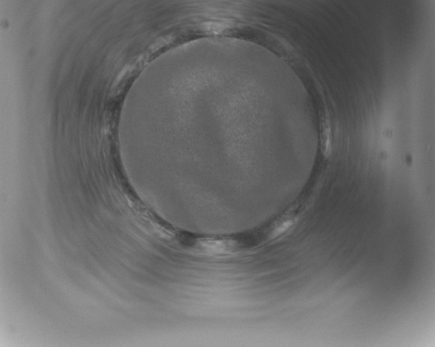 X0000051890221200507081947