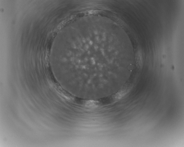 X0000051890222200507081947