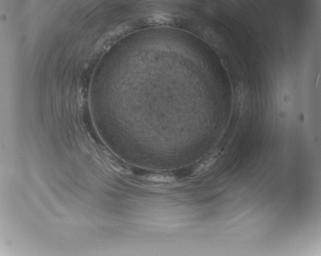 X0000051890223200507081947