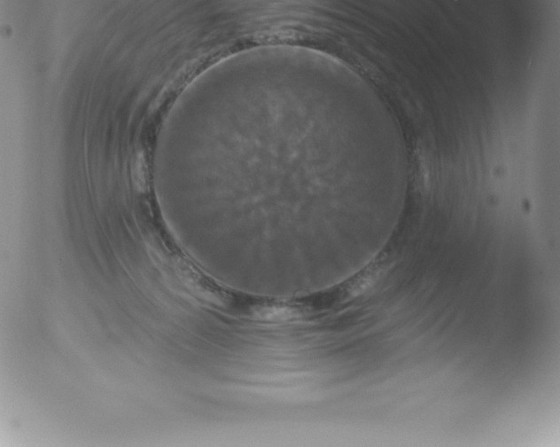 X0000051890224200507081947