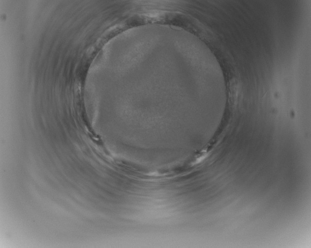 X0000051890225200507081947