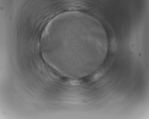 X0000051890228200507081947