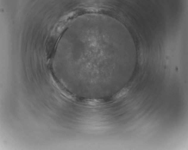 X0000051890229200507081947