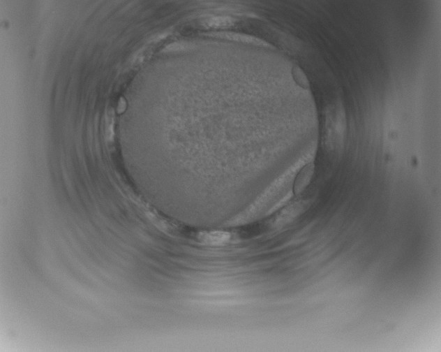 X0000051890230200507081947