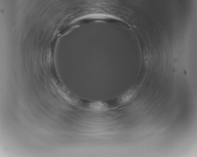 X0000051890231200507081947