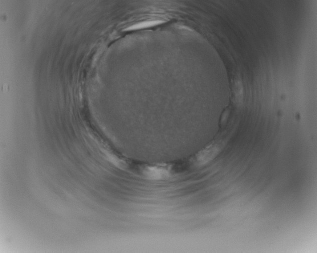 X0000051890232200507081947