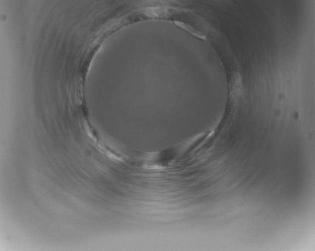 X0000051890233200507081947