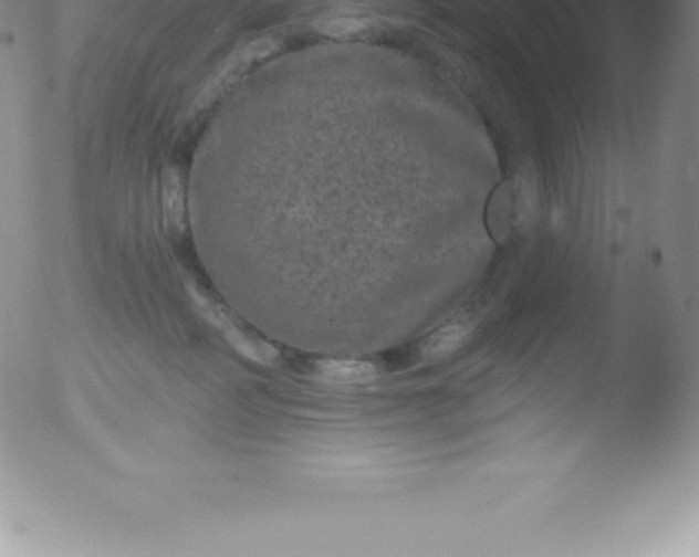 X0000051890234200507081947