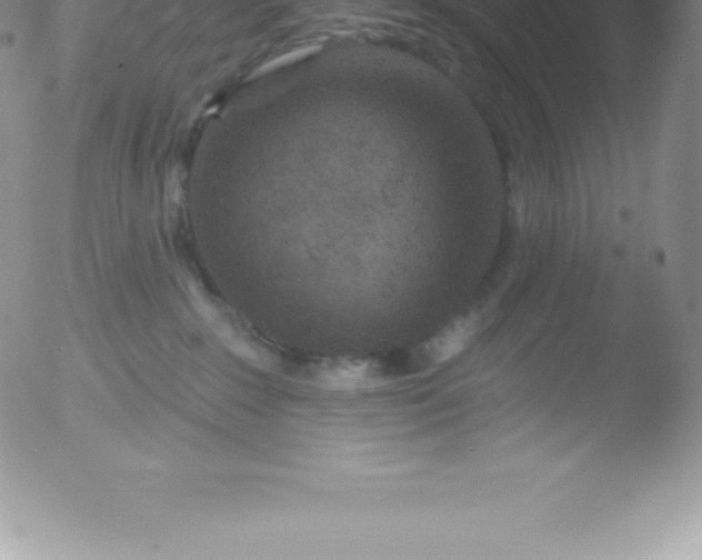 X0000051890235200507081947