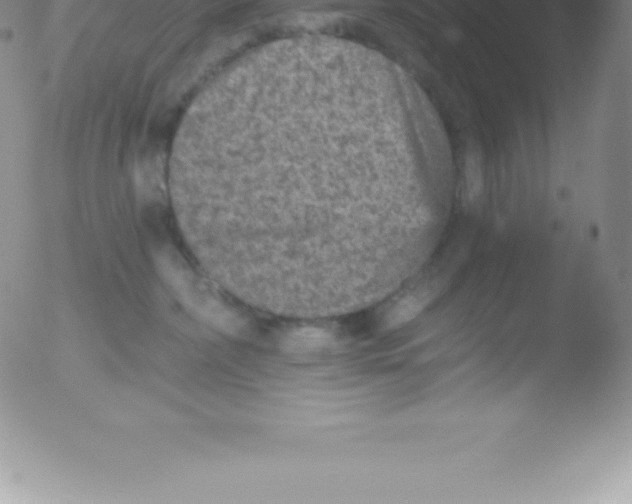 X0000051890236200507081947