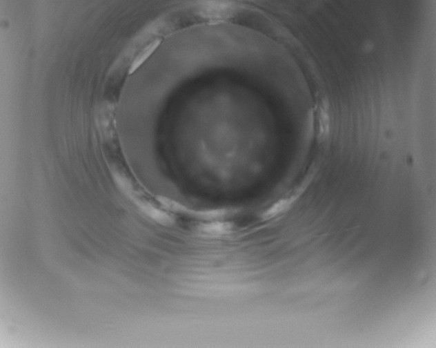 X0000051890237200507081947