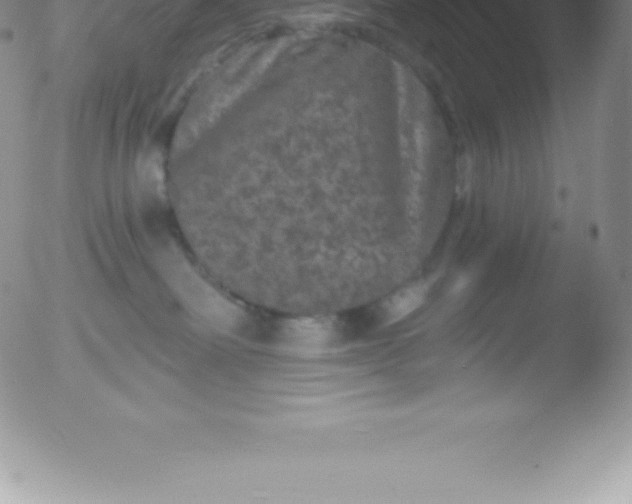 X0000051890238200507081946