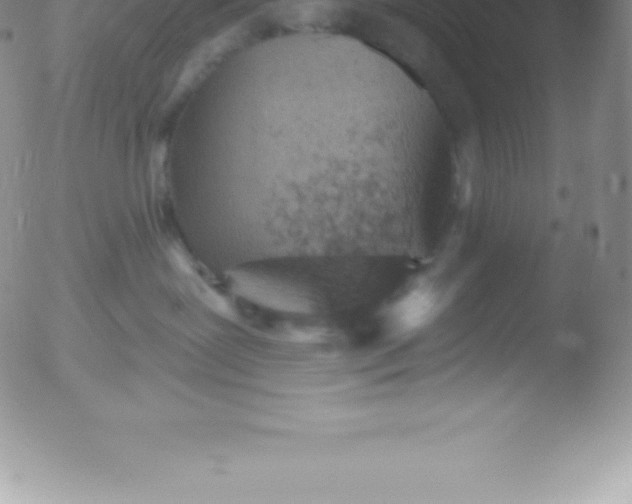 X0000051890239200507081946