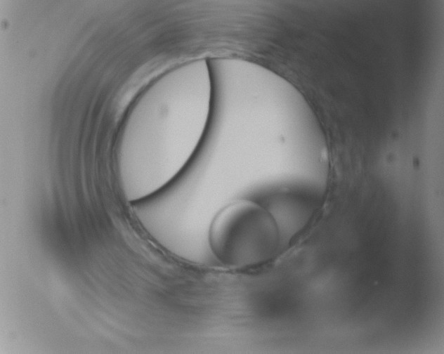 X0000051890242200507081946