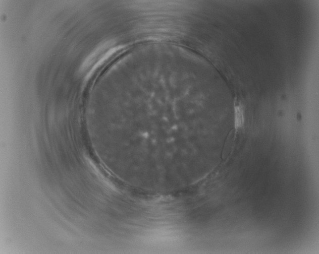 X0000051890243200507081946