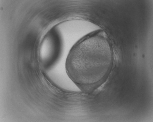 X0000051890244200507081946