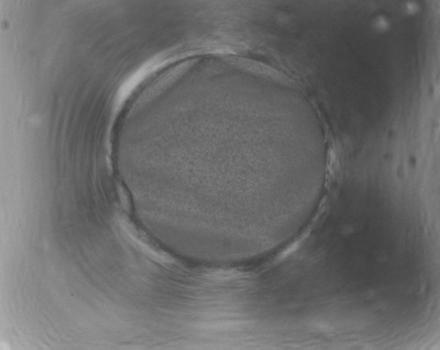 X0000051890246200507081946