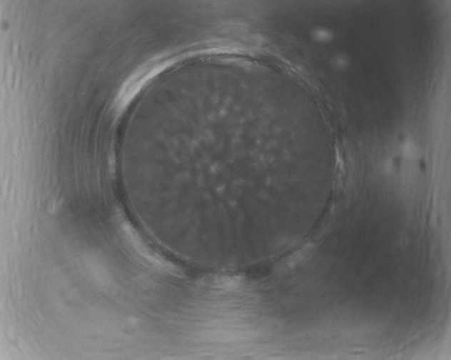 X0000051890247200507081946