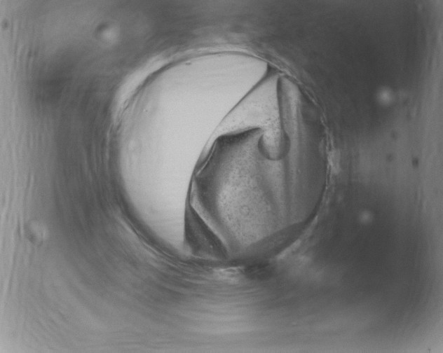 X0000051890248200507081946