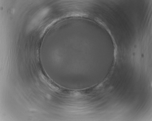 X0000051890249200507081946