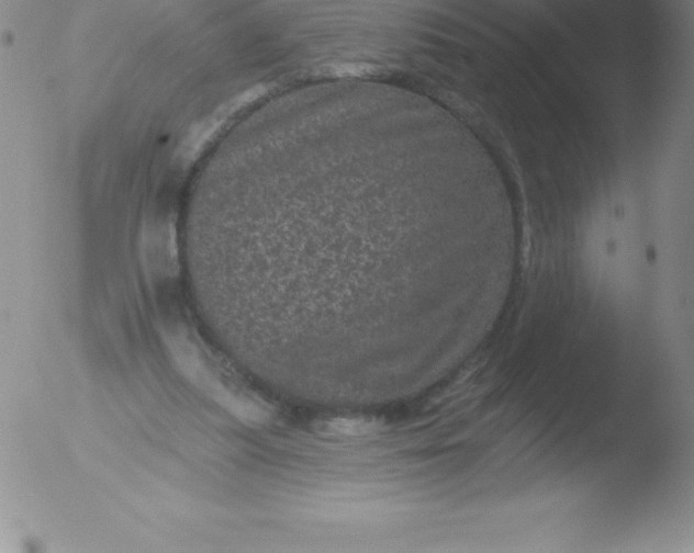 X0000051890251200507081946