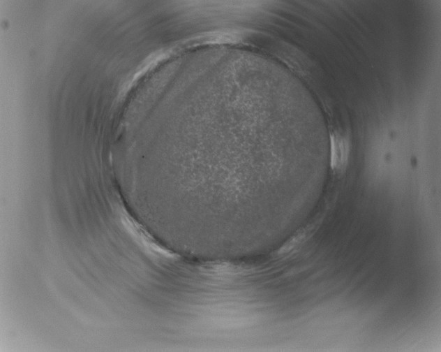 X0000051890253200507081946